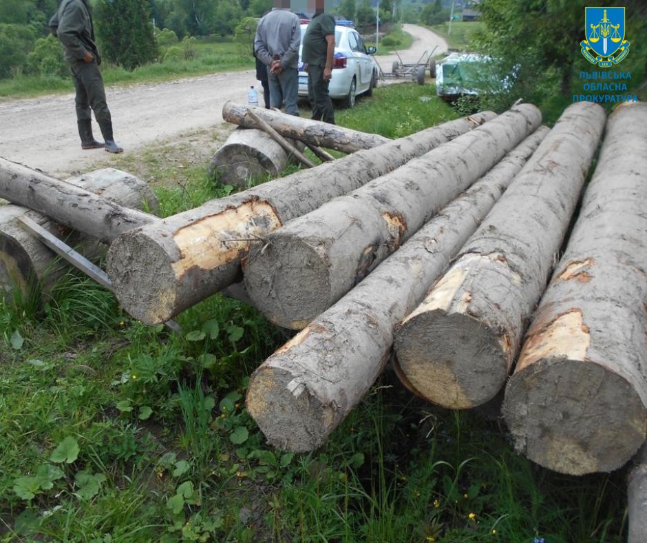 Незаконна порубка дерев зі збитками на майже 1 млн грн – судитимуть двох місцевих мешканців Львівщини
