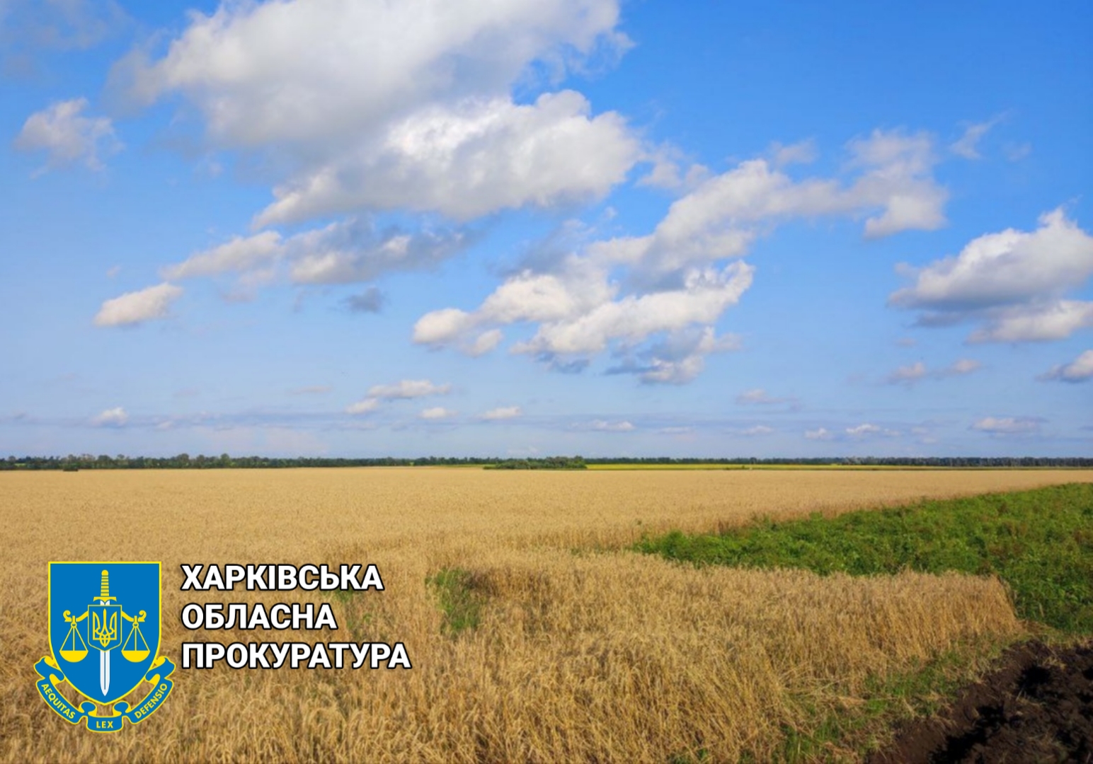 Прокуратура повернула державі землі НААН на Харківщині площею майже 1100 га та вартістю понад 2 млрд грн