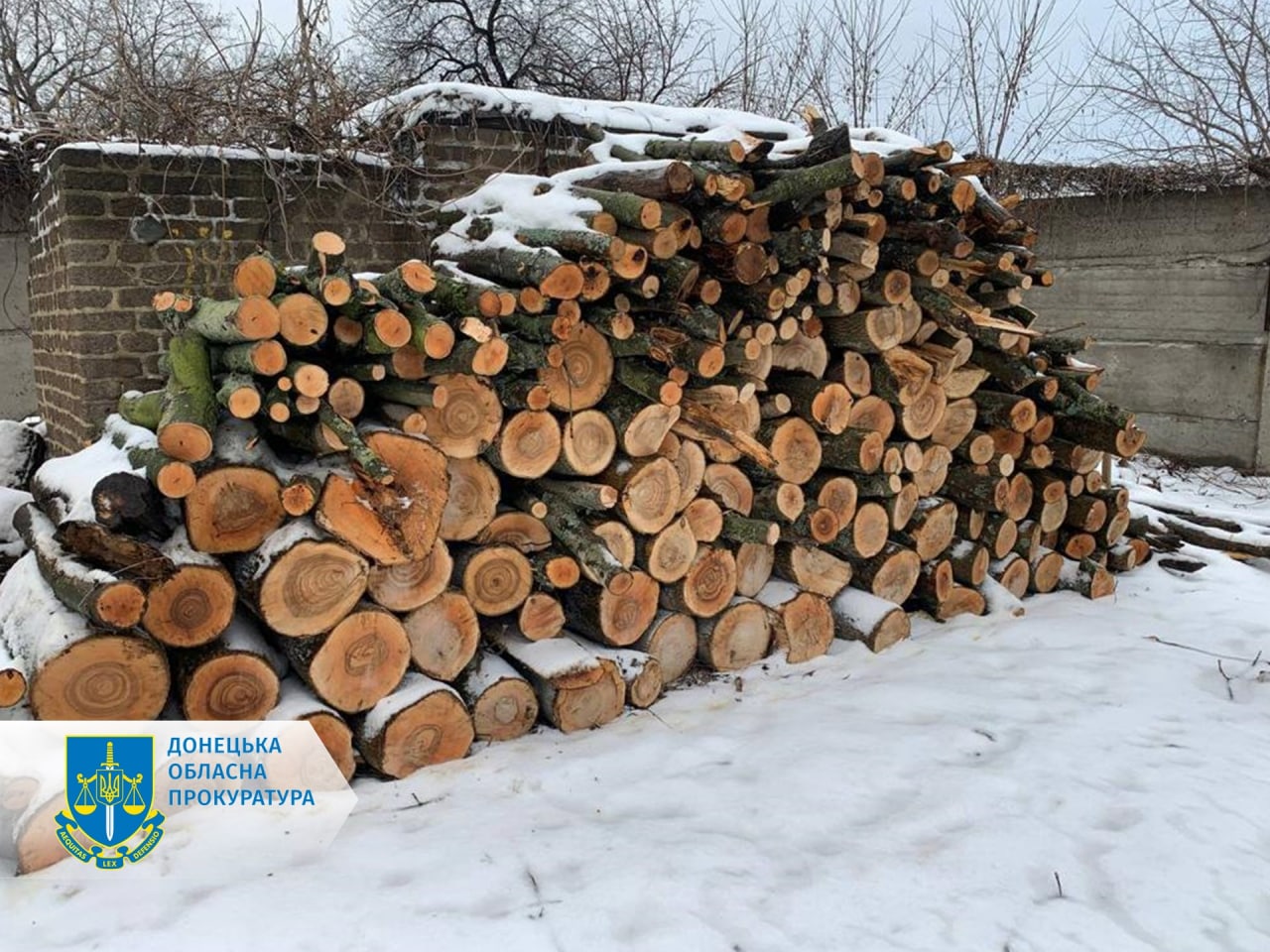 Незаконна порубка дерев на 1,2 млн грн - на Донеччині судитимуть 4 осіб