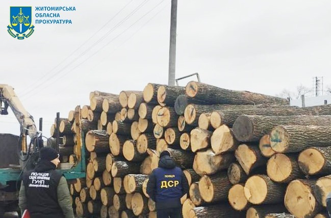 Незаконно вирубали дуби на майже 900 тис грн – на Житомирщині судитимуть злочинне угруповання «чорних лісорубів»