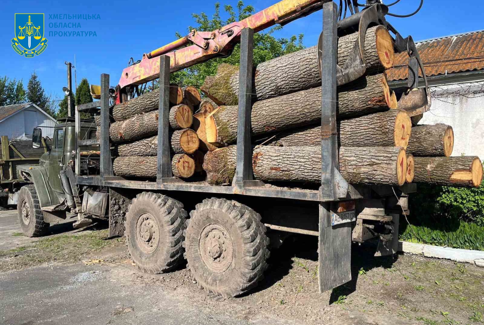 Незаконна порубка дубів на понад 1,3 млн грн – правоохоронці Хмельниччини припинили діяльність групи «чорних лісорубів»