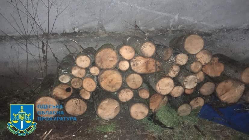 Порубка лісу на понад 1 млн грн - на Одещині сімом учасникам організованої групи повідомлено про підозру