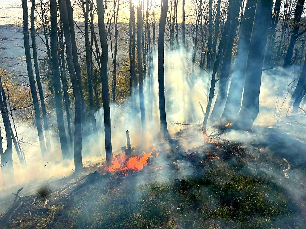 На Буковині внаслідок пожежі у національному природному парку «Вижницький» пошкоджено близько 7 га лісу – розпочато розслідування