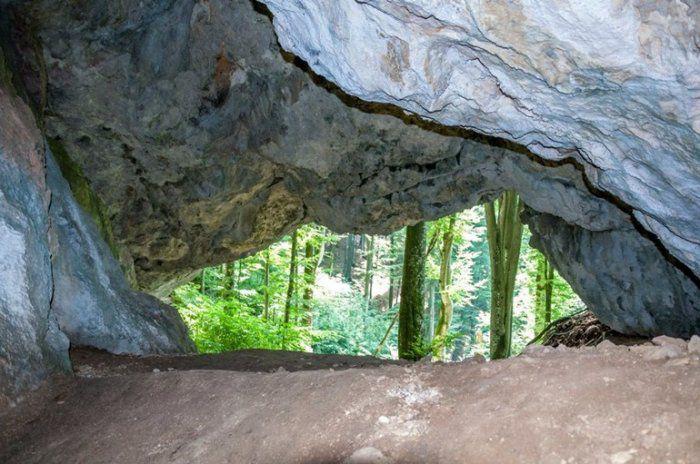 Завдяки прокуратурі перша на Закарпатті печерна стоянка людей кам'яного віку перебуватиме під охороною